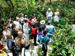 People on a tour at Cafe Britt plantation