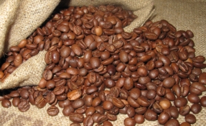 Roasted coffee beans