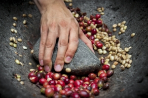 Cherry red coffee beans