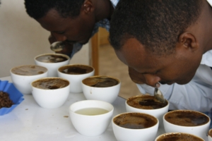 2 men cupping fresh coffee