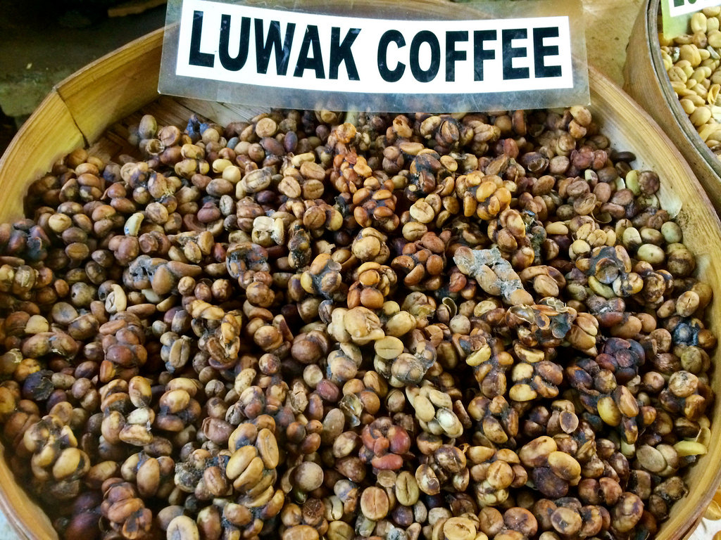 Kopi luwak coffee