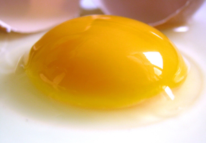 Raw egg yolk