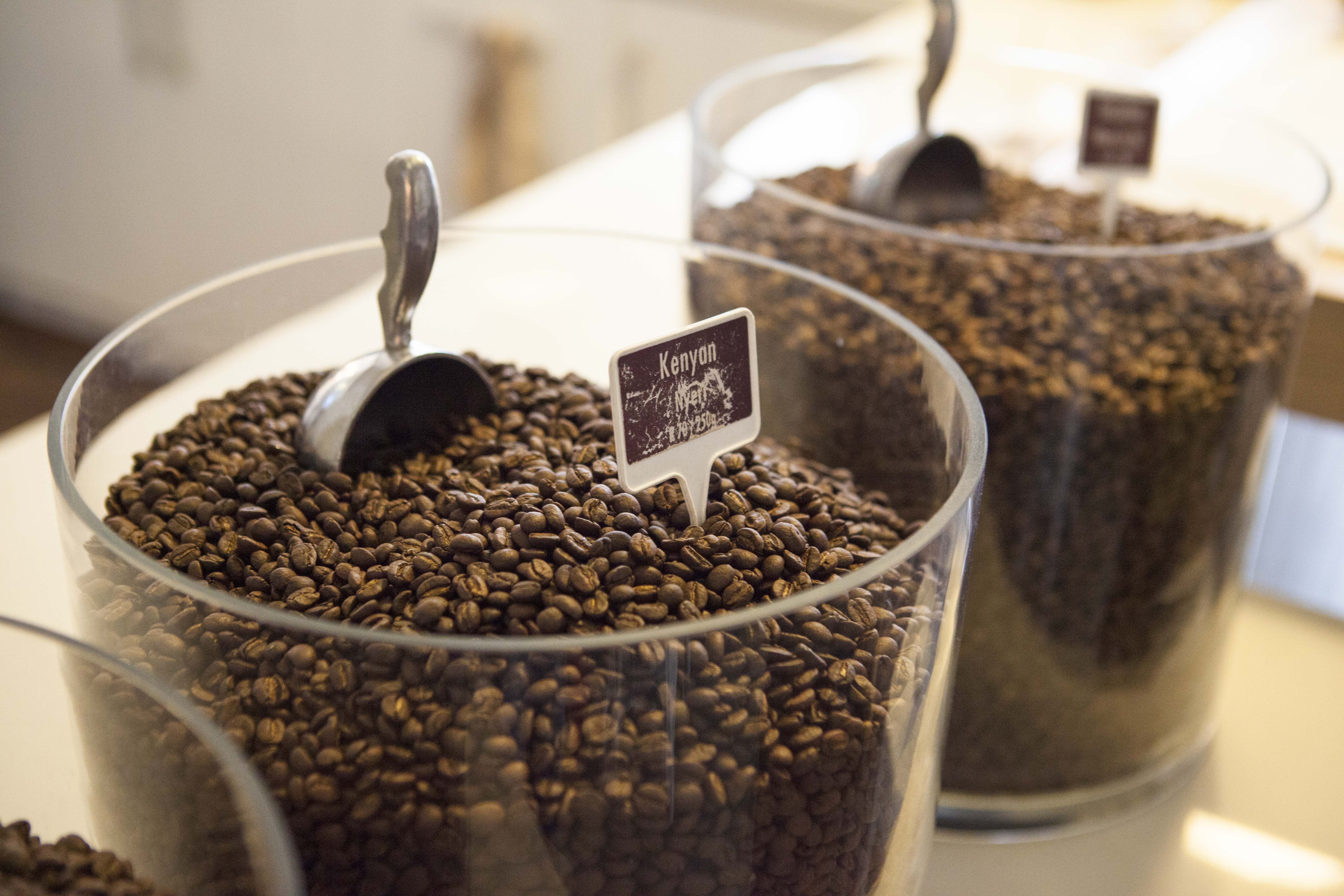 Kenyan coffee beans