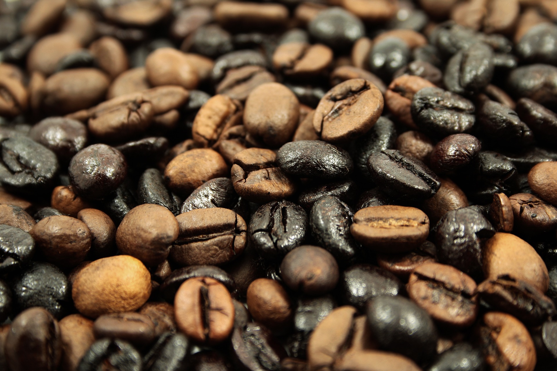 Dark brown coffee beans