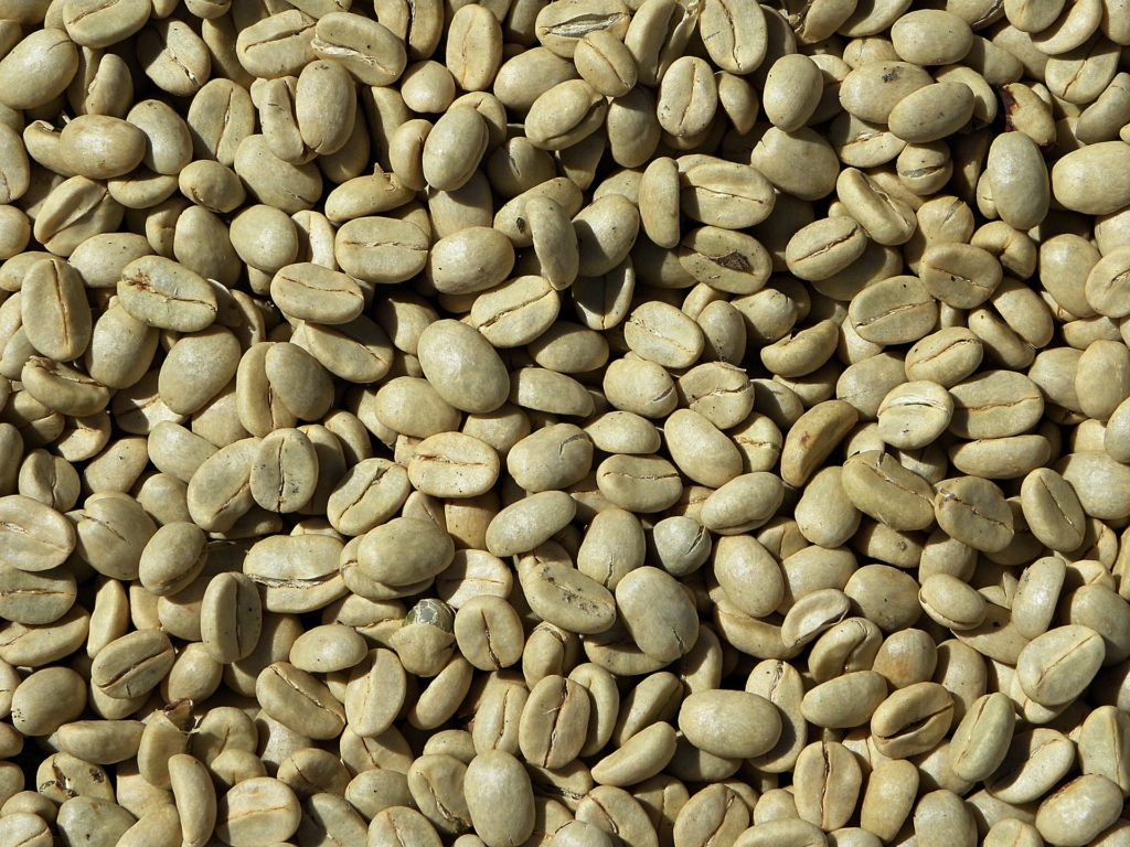 Green coffee beans