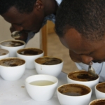 Coffee Cupping